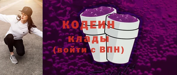 эйфоретик Арсеньев
