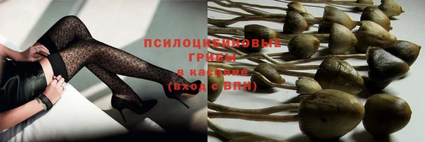 ECSTASY Покачи