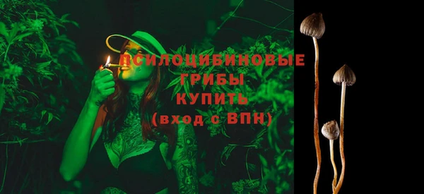 ALPHA-PVP Покров