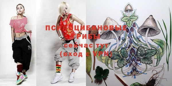 дмт Покровск