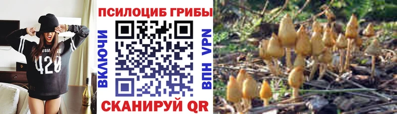 мега рабочий сайт  Буй  Галлюциногенные грибы Magic Shrooms 